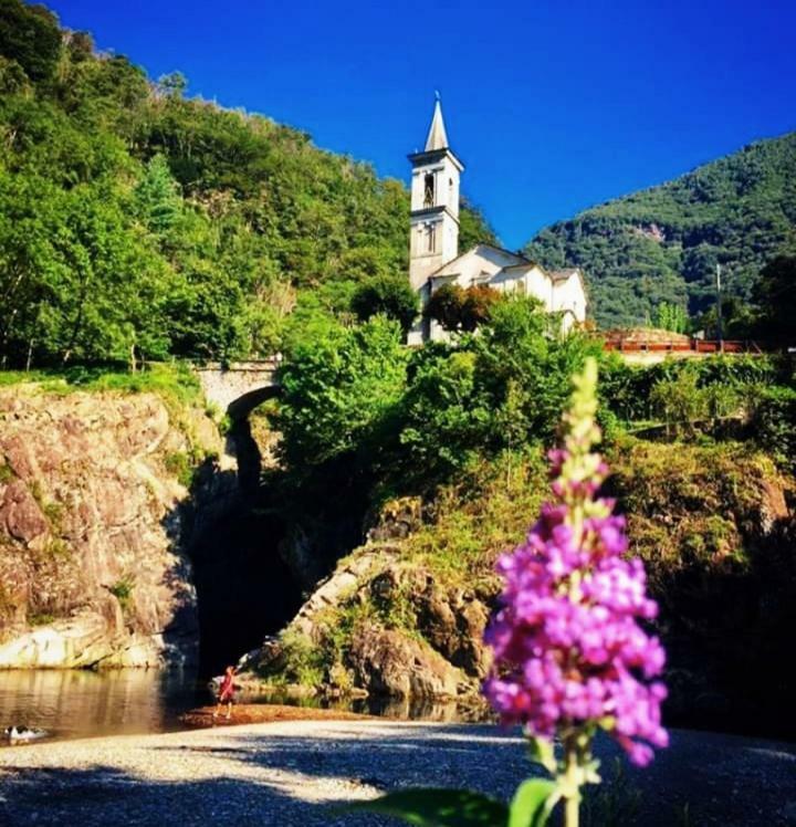 Antico Sempione Glicine Apartment Cannobio Exterior foto